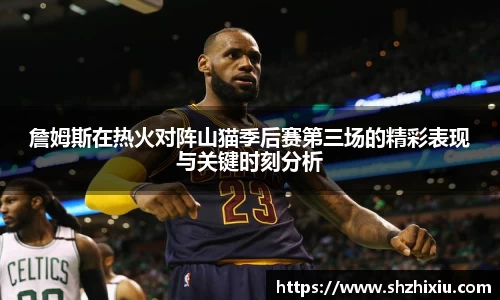 詹姆斯在热火对阵山猫季后赛第三场的精彩表现与关键时刻分析
